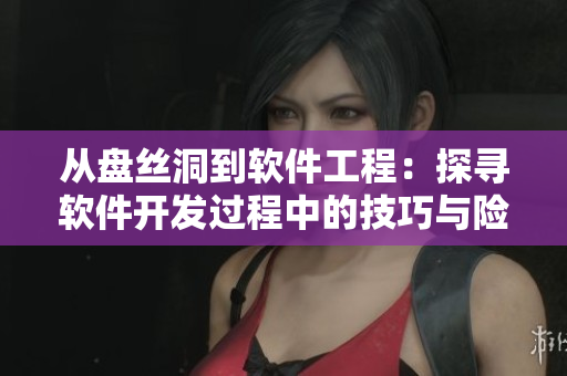 从盘丝洞到软件工程：探寻软件开发过程中的技巧与险阻