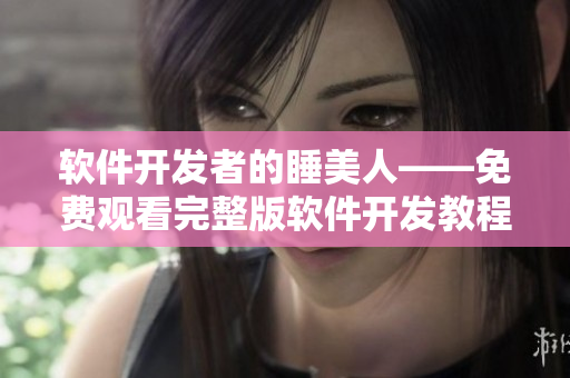软件开发者的睡美人——免费观看完整版软件开发教程
