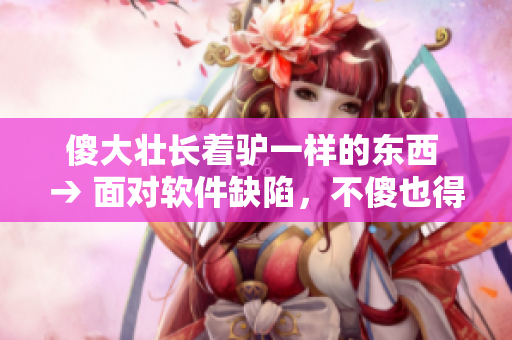 傻大壮长着驴一样的东西 → 面对软件缺陷，不傻也得像头驴般坚毅前行