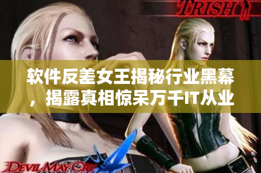 软件反差女王揭秘行业黑幕，揭露真相惊呆万千IT从业者！