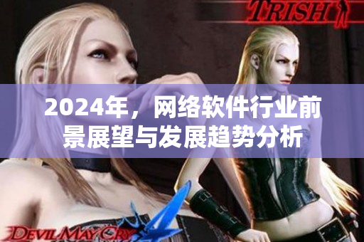 2024年，网络软件行业前景展望与发展趋势分析