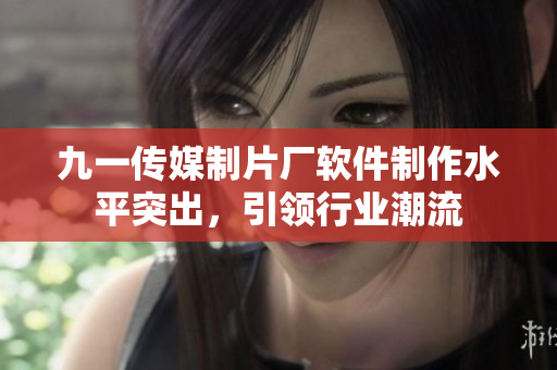 九一传媒制片厂软件制作水平突出，引领行业潮流