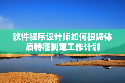 软件程序设计师如何根据体质特征制定工作计划