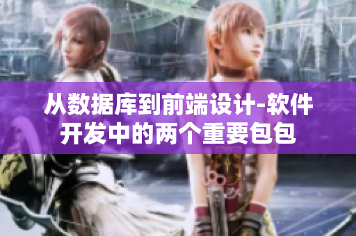 从数据库到前端设计-软件开发中的两个重要包包