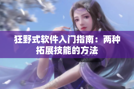 狂野式软件入门指南：两种拓展技能的方法