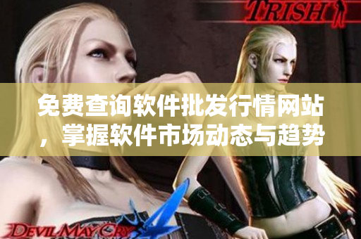 免费查询软件批发行情网站，掌握软件市场动态与趋势！