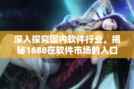 深入探究国内软件行业，揭秘1688在软件市场的入口奥秘