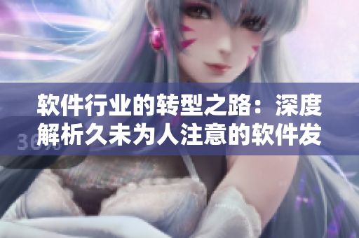软件行业的转型之路：深度解析久未为人注意的软件发展趋势