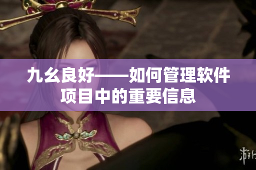 九幺良好——如何管理软件项目中的重要信息