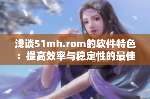 浅谈51mh.rom的软件特色：提高效率与稳定性的最佳选择