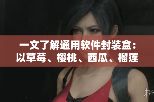 一文了解通用软件封装盒：以草莓、樱桃、西瓜、榴莲为例