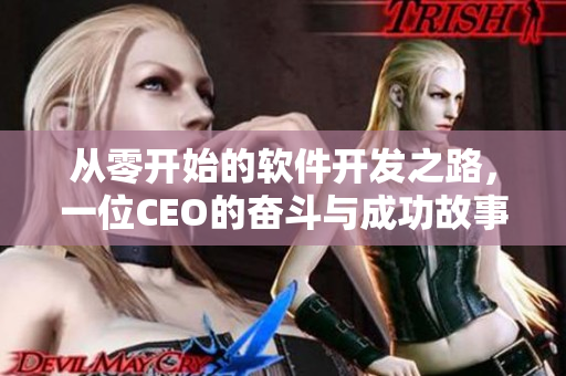 从零开始的软件开发之路，一位CEO的奋斗与成功故事