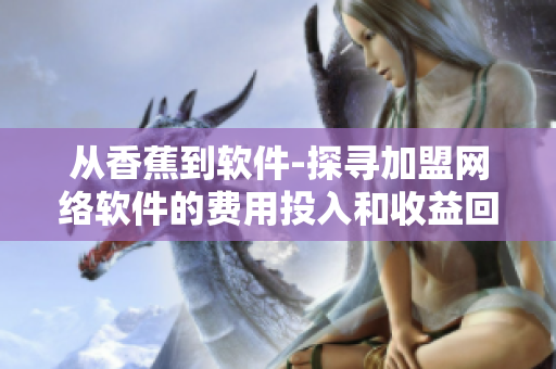 从香蕉到软件-探寻加盟网络软件的费用投入和收益回报