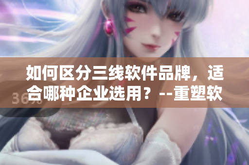 如何区分三线软件品牌，适合哪种企业选用？--重塑软件品牌意识