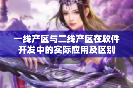一线产区与二线产区在软件开发中的实际应用及区别