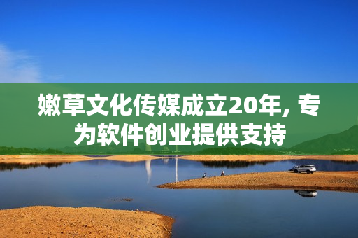 嫩草文化传媒成立20年, 专为软件创业提供支持
