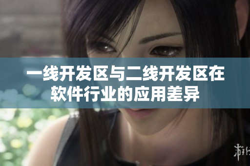 一线开发区与二线开发区在软件行业的应用差异