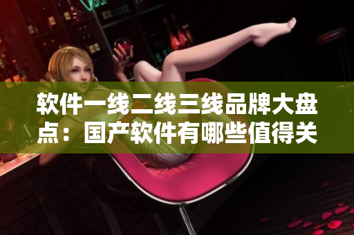 软件一线二线三线品牌大盘点：国产软件有哪些值得关注的品牌？