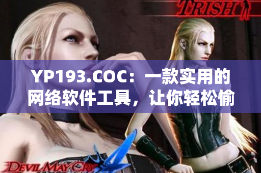 YP193.COC：一款实用的网络软件工具，让你轻松愉快上网