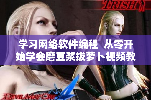 学习网络软件编程  从零开始学会磨豆浆拔萝卜视频教程！