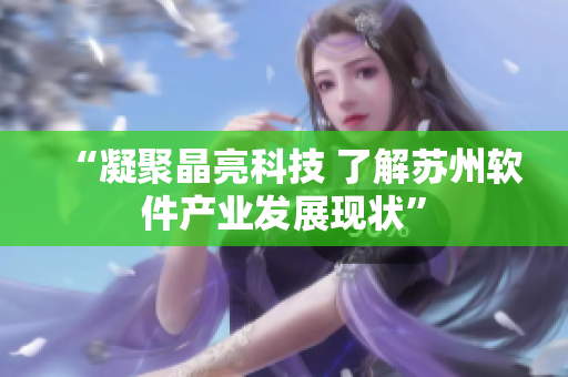 “凝聚晶亮科技 了解苏州软件产业发展现状”