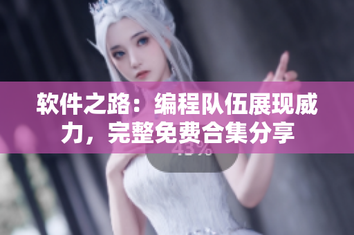 软件之路：编程队伍展现威力，完整免费合集分享