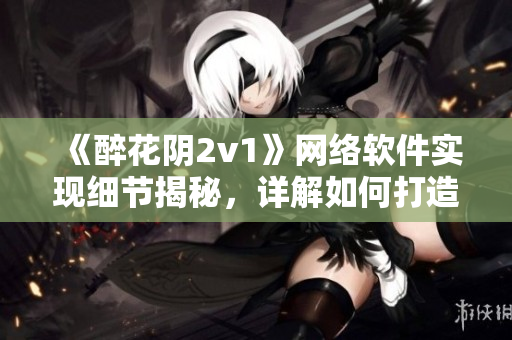 《醉花阴2v1》网络软件实现细节揭秘，详解如何打造高效稳定的应用程序