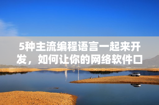 5种主流编程语言一起来开发，如何让你的网络软件口感更加甜美？