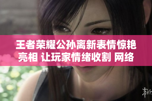 王者荣耀公孙离新表情惊艳亮相 让玩家情绪收割 网络软件大更新引发热议