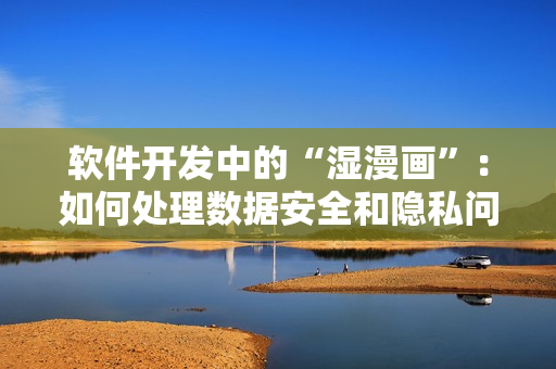 软件开发中的“湿漫画”：如何处理数据安全和隐私问题