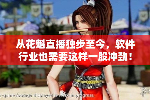 从花魁直播独步至今，软件行业也需要这样一股冲劲！