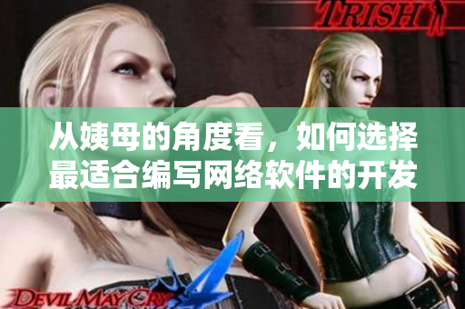 从姨母的角度看，如何选择最适合编写网络软件的开发工具