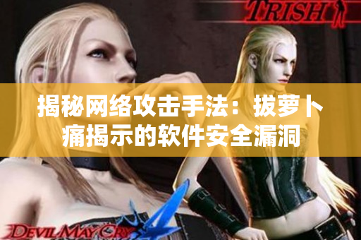 揭秘网络攻击手法：拔萝卜痛揭示的软件安全漏洞