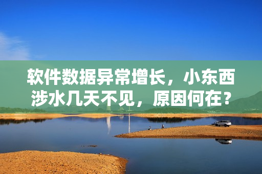 软件数据异常增长，小东西涉水几天不见，原因何在？