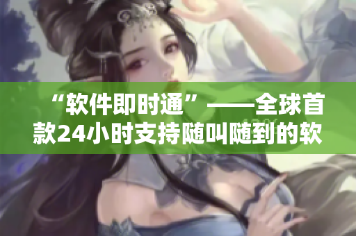 “软件即时通”——全球首款24小时支持随叫随到的软件服务