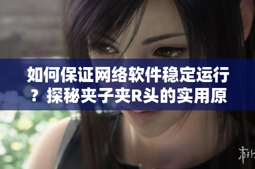 如何保证网络软件稳定运行？探秘夹子夹R头的实用原理