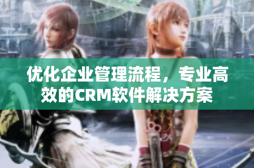 优化企业管理流程，专业高效的CRM软件解决方案
