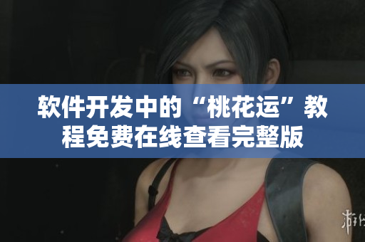 软件开发中的“桃花运”教程免费在线查看完整版