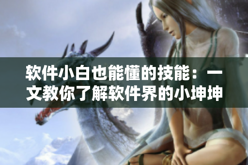 软件小白也能懂的技能：一文教你了解软件界的小坤坤