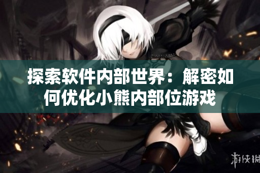 探索软件内部世界：解密如何优化小熊内部位游戏