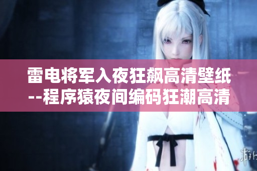 雷电将军入夜狂飙高清壁纸--程序猿夜间编码狂潮高清壁纸