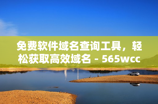 免费软件域名查询工具，轻松获取高效域名 - 565wcc