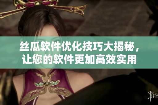 丝瓜软件优化技巧大揭秘，让您的软件更加高效实用