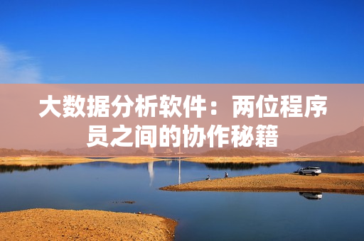 大数据分析软件：两位程序员之间的协作秘籍