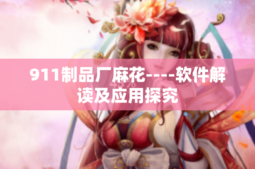911制品厂麻花----软件解读及应用探究