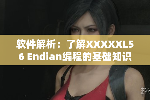 软件解析：了解XXXXXL56 Endian编程的基础知识