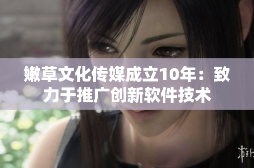 嫩草文化传媒成立10年：致力于推广创新软件技术
