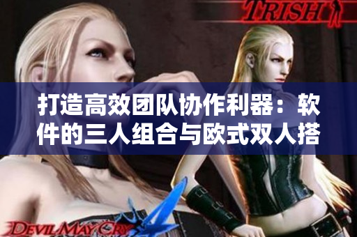 打造高效团队协作利器：软件的三人组合与欧式双人搭配