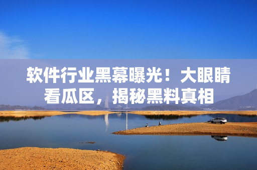 软件行业黑幕曝光！大眼睛看瓜区，揭秘黑料真相