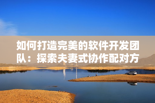 如何打造完美的软件开发团队：探索夫妻式协作配对方式